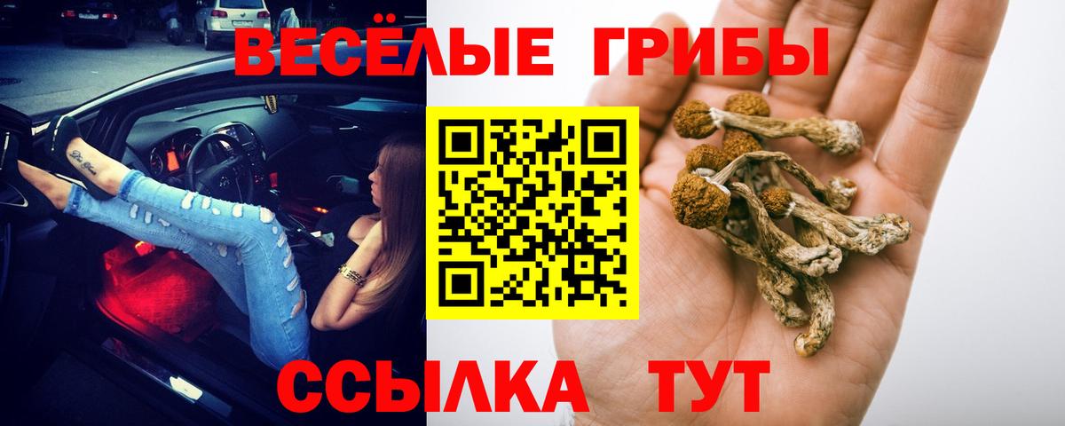 Псилоцибиновые грибы прущие грибы Казань