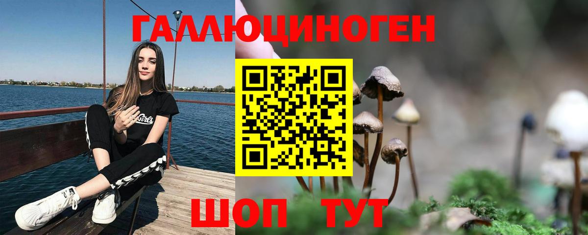 Галлюциногенные грибы Magic Shrooms  Вход с VPN  Казань 
